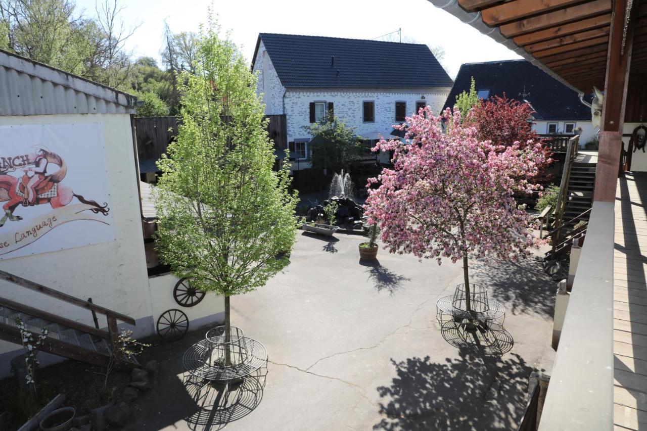 Apartament Schoene Kleiner Onkel Auf Idyllischem Reiterhof Nahe Burg Eltz Münstermaifeld